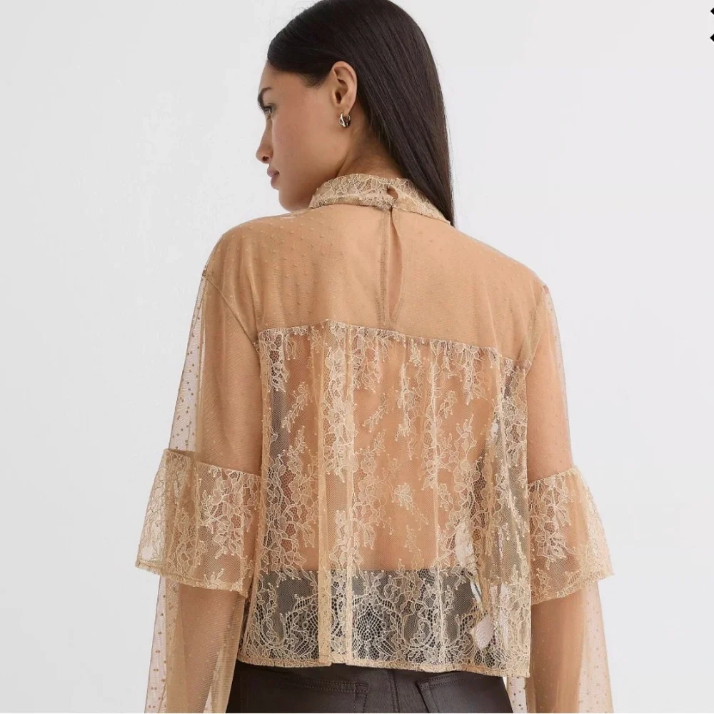 LOFT Velvet Dotted Chantilly Lace Ruffle Top - Picture 2 of 8